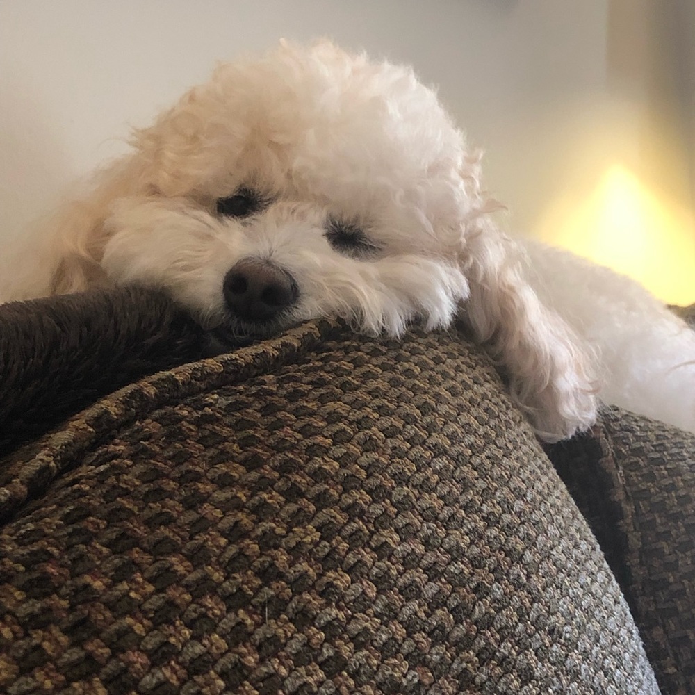 Meet your Posher, Mary